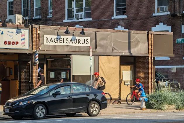 Bagelsaurus