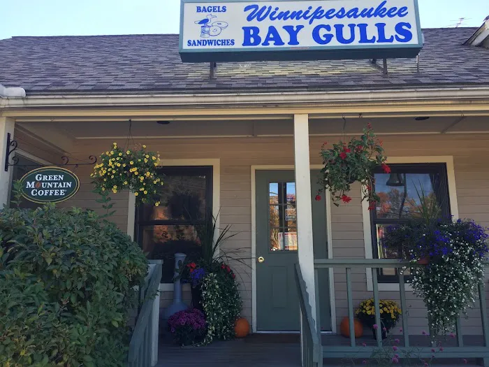 Center Harbor Bay Gulls Picture 5