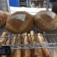The Bread Shop ico