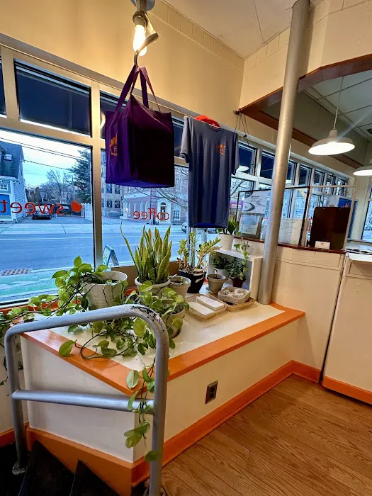 Petsi Pies Picture 4