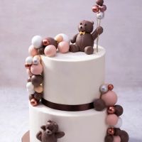 Cakes Terminal ico