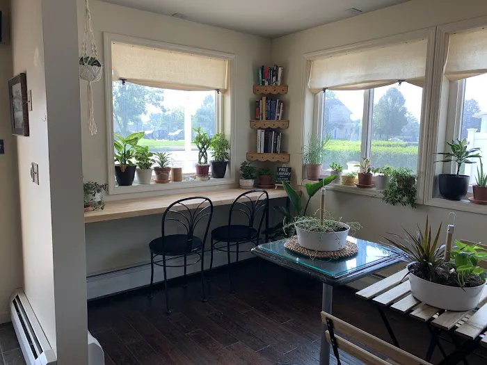 The Honey Bean Bakery & Coffee Shop Picture 8