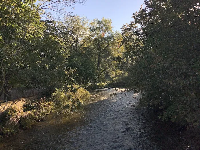 Long Valley Bagel Picture 9