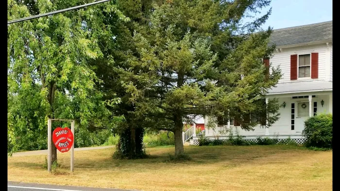 Mourningkill Farm and Bake Shop Picture 10