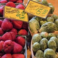 Lakeside Farms ico