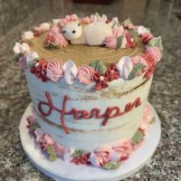 Auntie Kim's Cakes ico