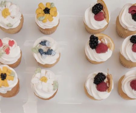 cake. vegan bakery