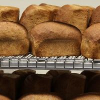 The Olde Craft Bakery, Organic ico