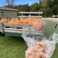 Capt Jack's Donut Shack ico