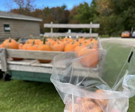 Capt Jack's Donut Shack