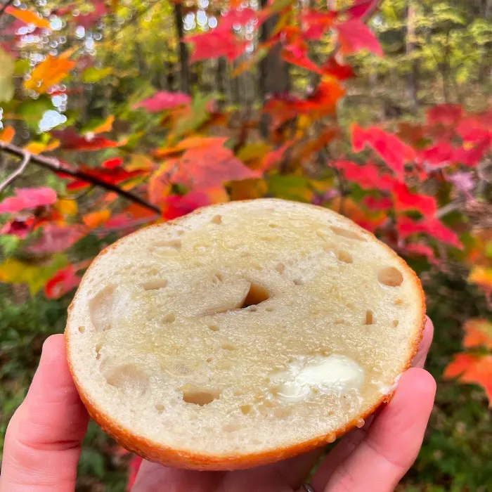 Backcountry Bagels Picture 10