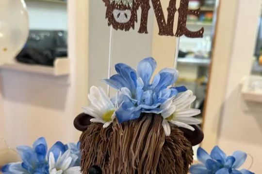 Cakes in Vermont, LLC