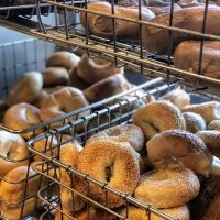 Super Duper Bagels ico