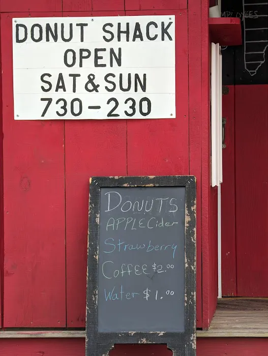 The Donut Shack Picture 4