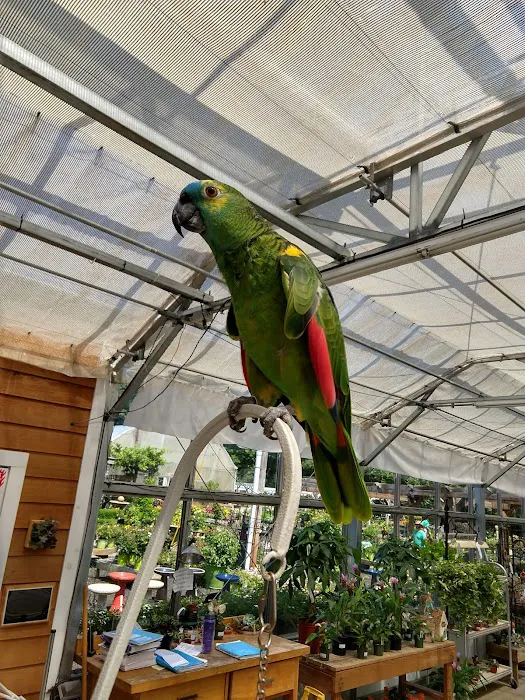 Ani's Bagel Cafe Picture 7