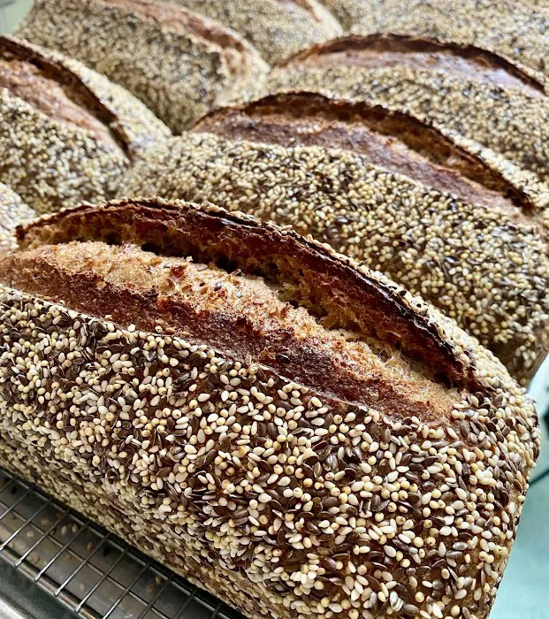 Wild Yeast Picture 14