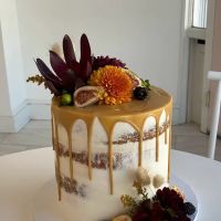 Crumbs Cake Studio ico