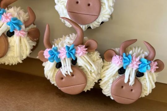 Nannycakes Bakery