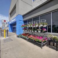 Walmart Bakery ico