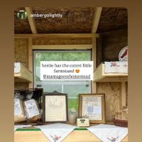 Mama Goose Homestead ico