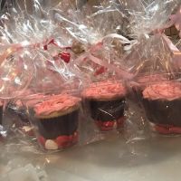 PreciseLee Baked ico
