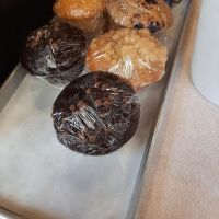 Cambridge Bagel Factory Inc ico