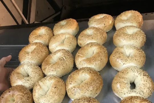 Sunrise Hot Bagels