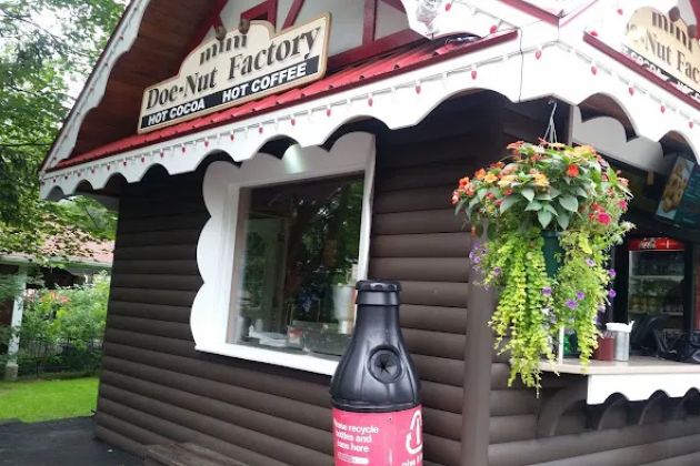 Mini Doe-Nut Factory
