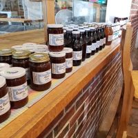 Borealis Breads ico