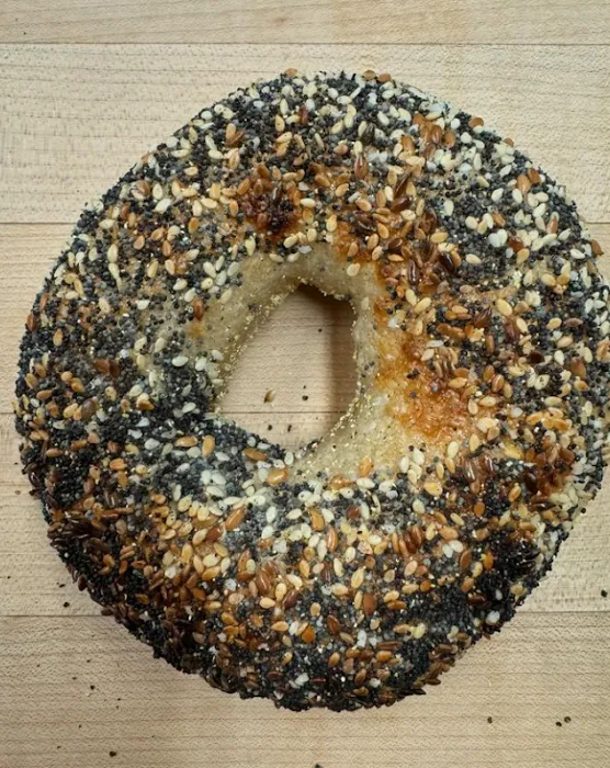 Rover Bagel Picture 10