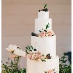 Big Fish Cake Studio