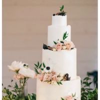 Big Fish Cake Studio ico