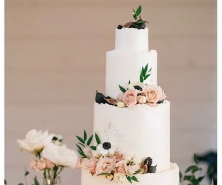 Big Fish Cake Studio
