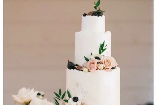 Big Fish Cake Studio