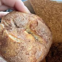Sebagel ico