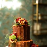 StellaBlue’sbakery ico
