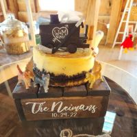 Cakes By Debbie ico