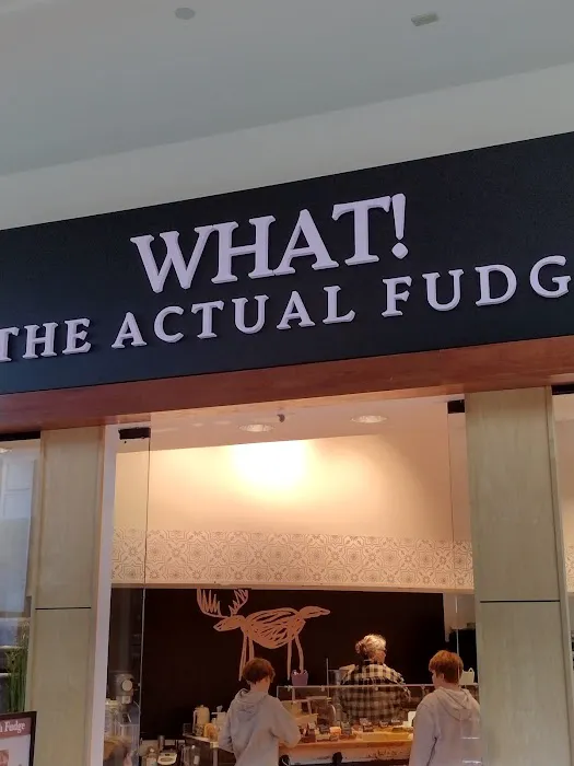 What! The Actual Fudge Picture 1