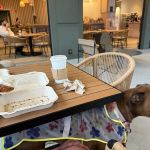 The Getty Bagel