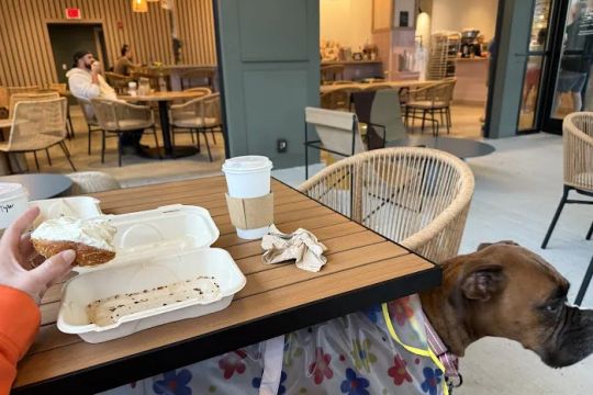 The Getty Bagel