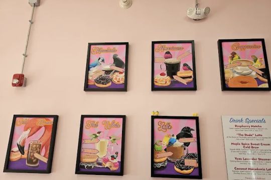 Lovebirds Donuts Portsmouth
