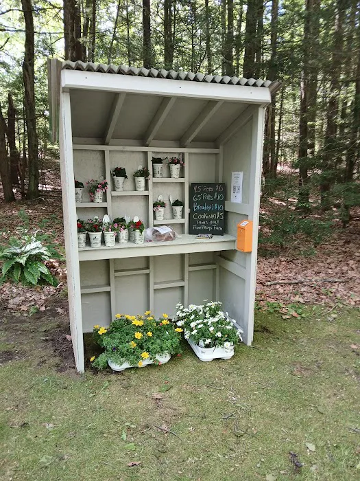 Five Frogs Farm Picture 2