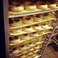 The best bagel NH ico