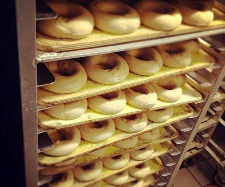 The best bagel NH