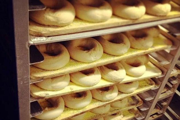 The best bagel NH