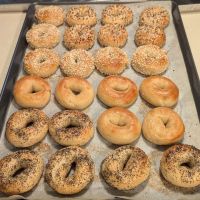 Matt's Bagels ico