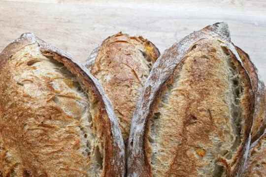 O Bread Bakery