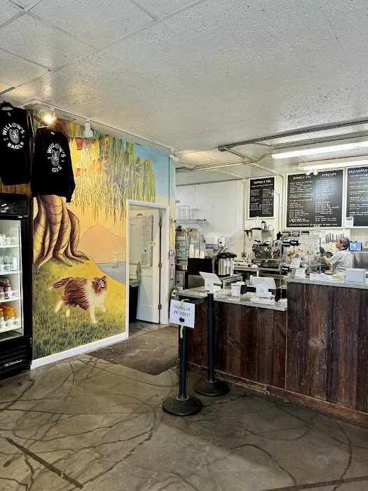 Willow's Bagels Picture 9