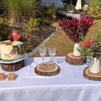 Jenny's Wedding Cakes ico