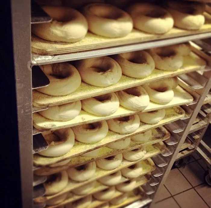 Best Bagel III Picture 3